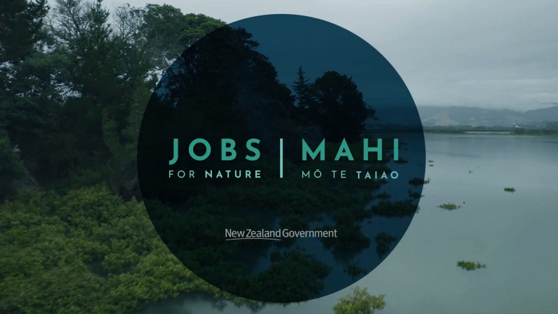 About Mahi mo te Taiao Jobs for Nature thumbail v2