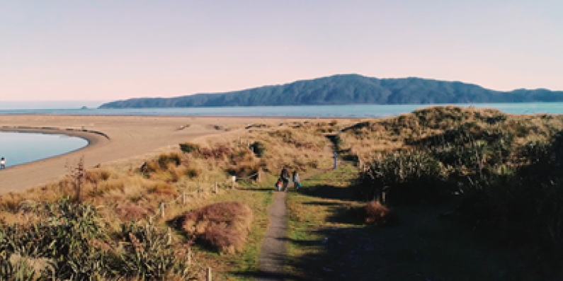Beach landscape