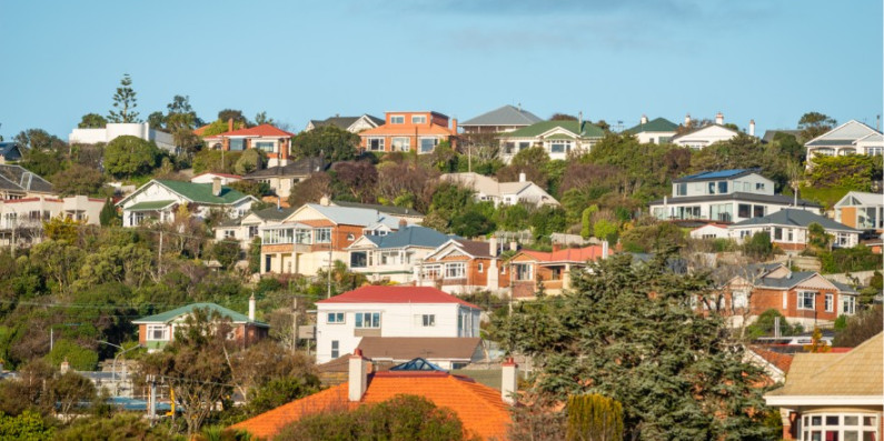 Houses on a hill in Dunedin