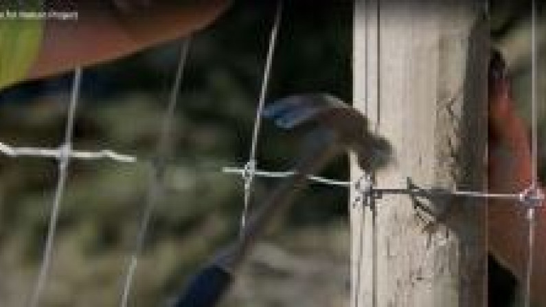 Hammering a stake in a fence