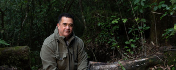 Professor Rangi Matamua (Chief Advisor Matariki and Mātauranga Māori) sits on a log in a forest area.
