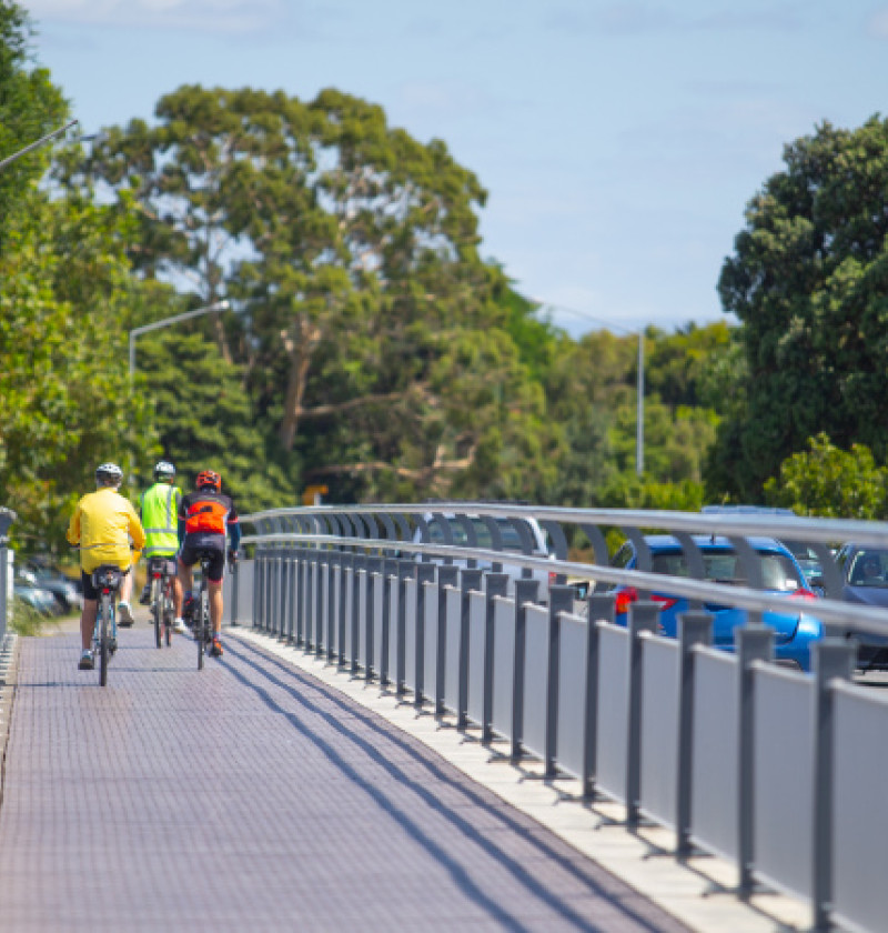 A group of cyclists on a cycle path adjacent to a road.