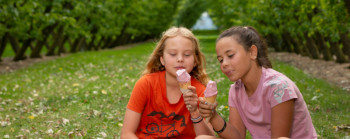 Two girls sitting crossed legged under orchard trees eating fruit ice creams. 
