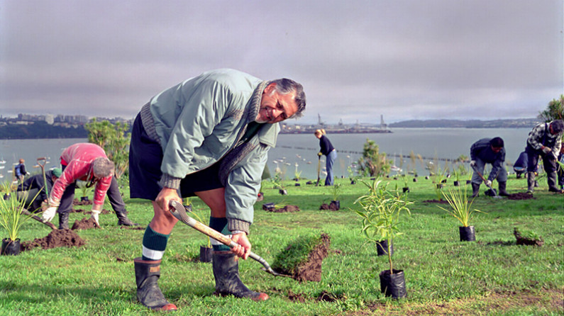 Ngāti Whātua Ōrākei tree planting for Matariki 