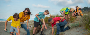 A group of adults and children planting beach plants on a sand dune.