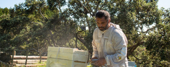 A man dressed in protective clothing blowing smoke into a beehive.