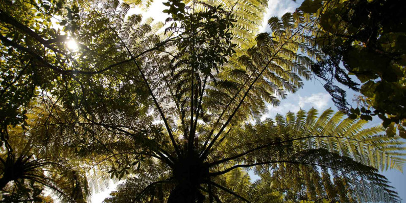 ETS consultation cover pic