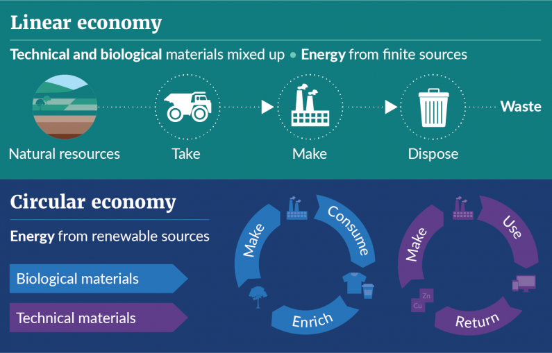 An infographic showing the difference between a linear economy (take-make-dispose) and a circular economy, where biological and technical materials remain in circulation for as long as possible. 