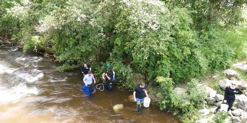 Horizons Jobs for Nature Fish Passage Project
