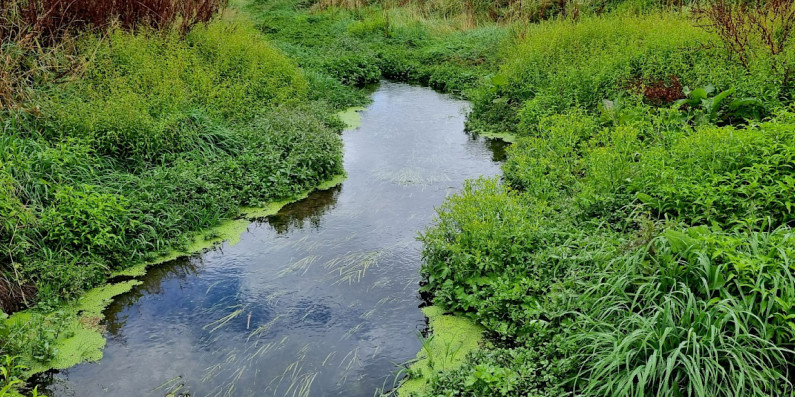 Kahahakuri Stream