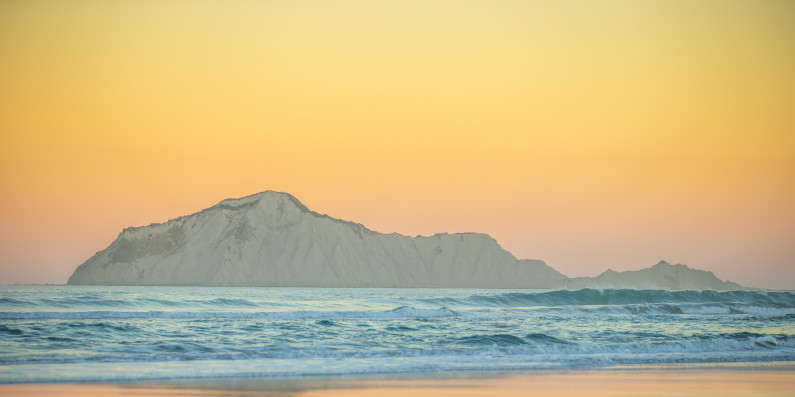  View from the beach of a cape in Hawkes Ba