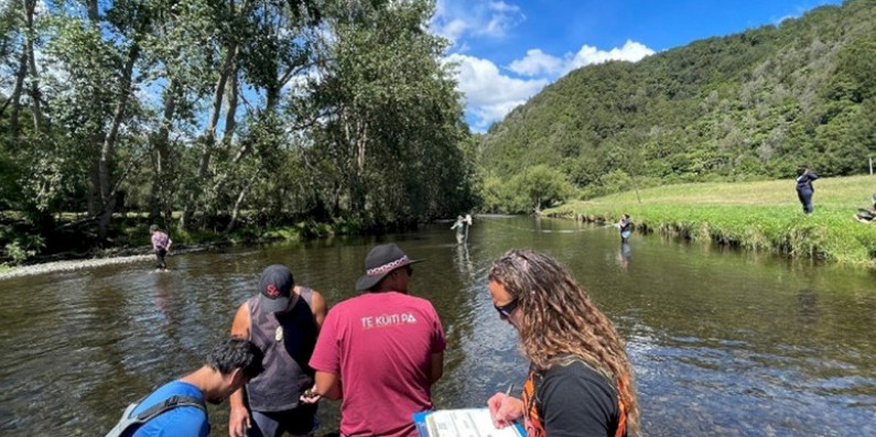 Maniapoto Cultural Assessment