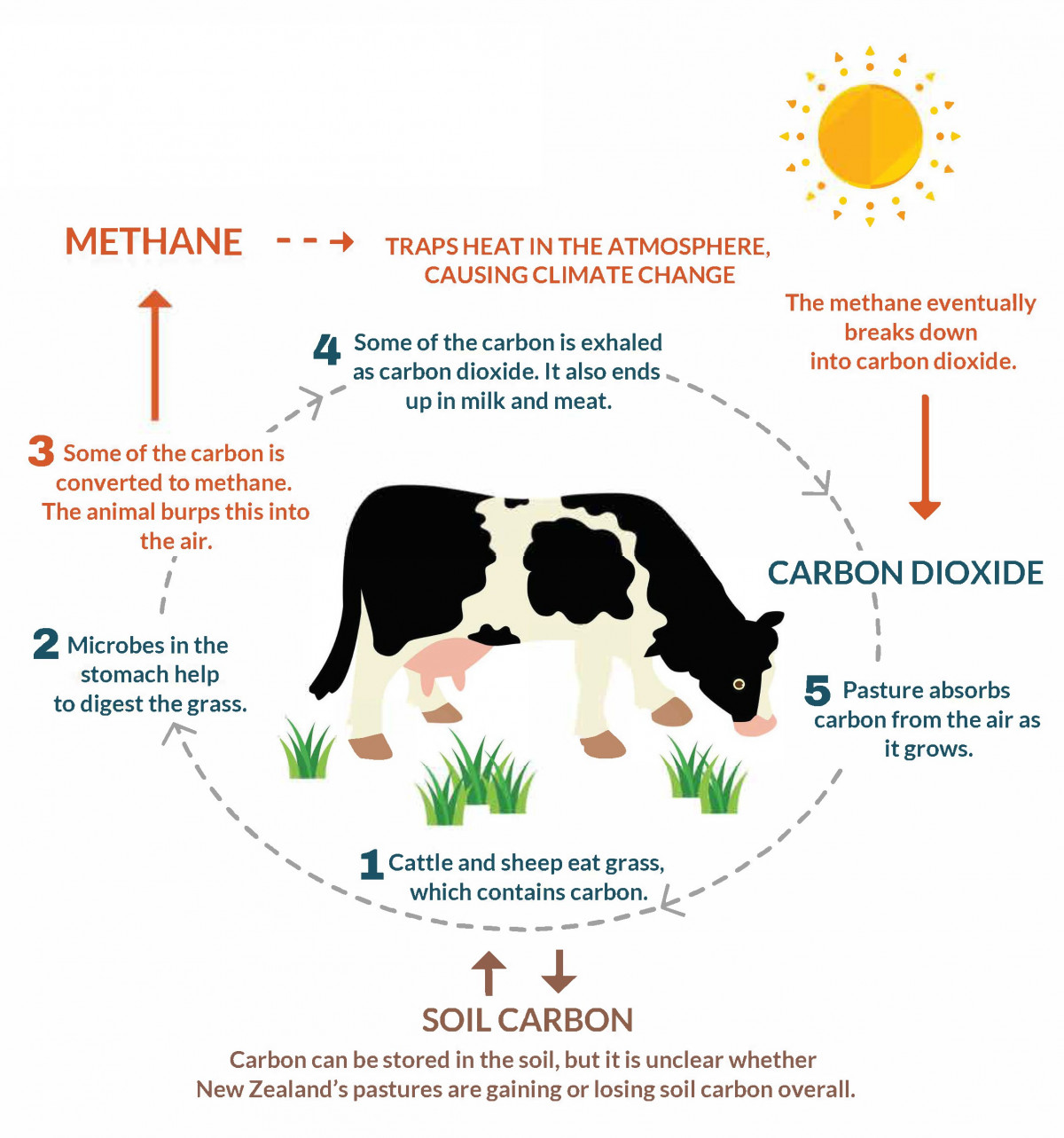 Agriculture emissions and climate change | Ministry for the Environment