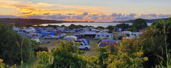 Tents and campervans on the grass by a harbour at sunset. 