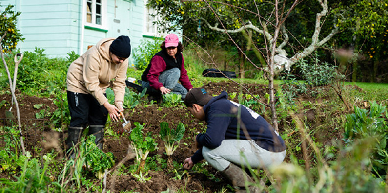 Three people working together to plant vegetables. 
