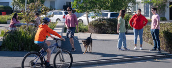 Medium-density housing with various groups of people outside. They are talking, seated at a table, riding a bike and waking a dog.