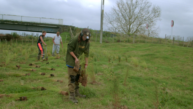 Piako Green Corridor and people riparian planting