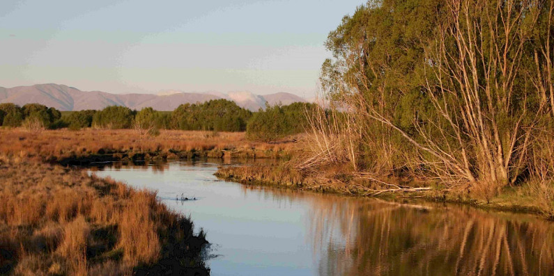 Upper Taieri Wai