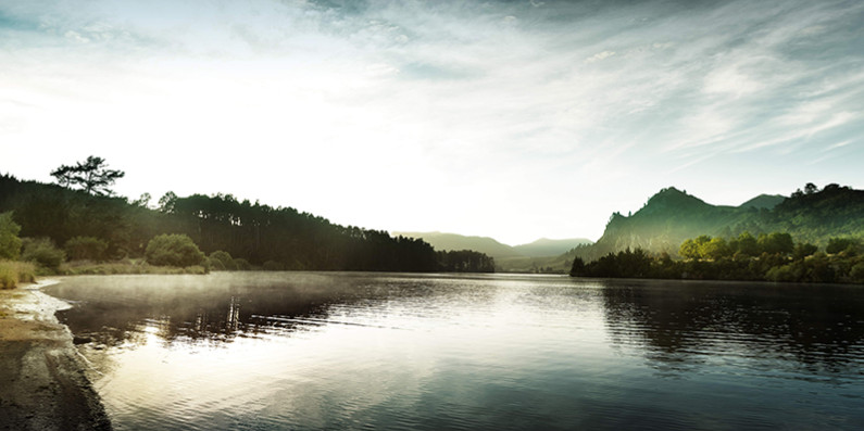 Waikato river