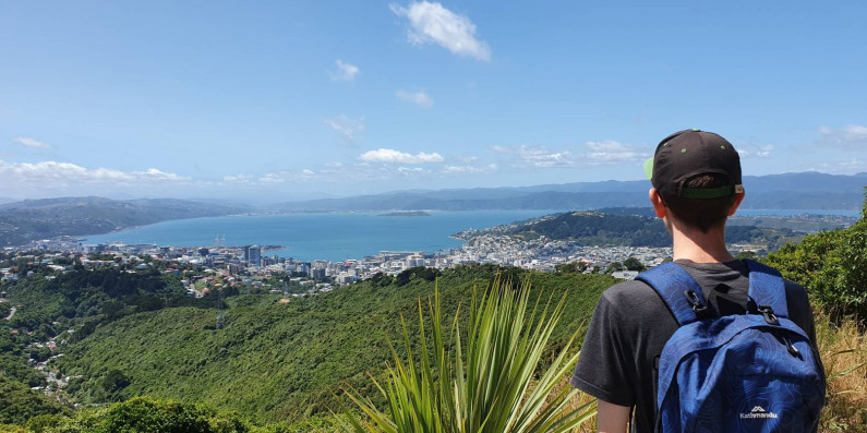A person looking out over Wellington