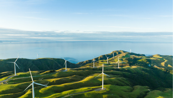 Windmills at Makara