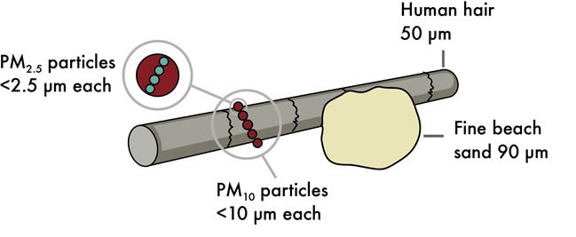 The relative size of particulate matter