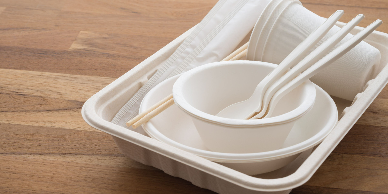 Material excluded from kerbside food scraps and food and garden waste