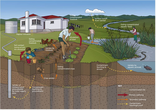 contaminated land pathways diagram 1