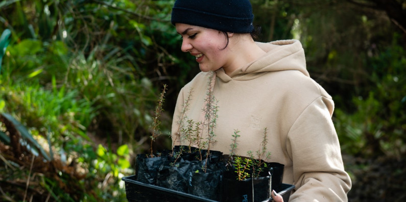 Hicks Bay river planting image courtesy of Claire Bailey