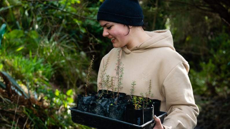 Hicks Bay river planting image courtesy of Claire Bailey