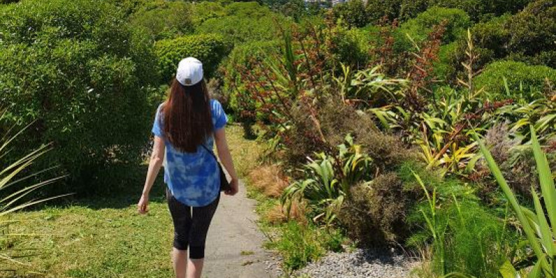 A view of Wellington from Brooklyn with a woman walking on a path