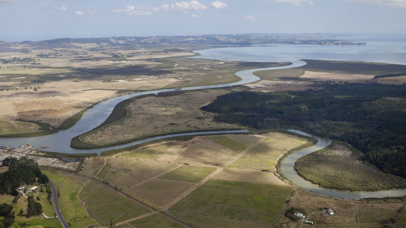 kaipara moana