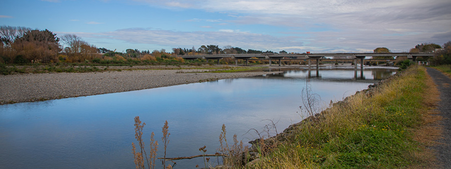 kapiti coast waikanae estuary