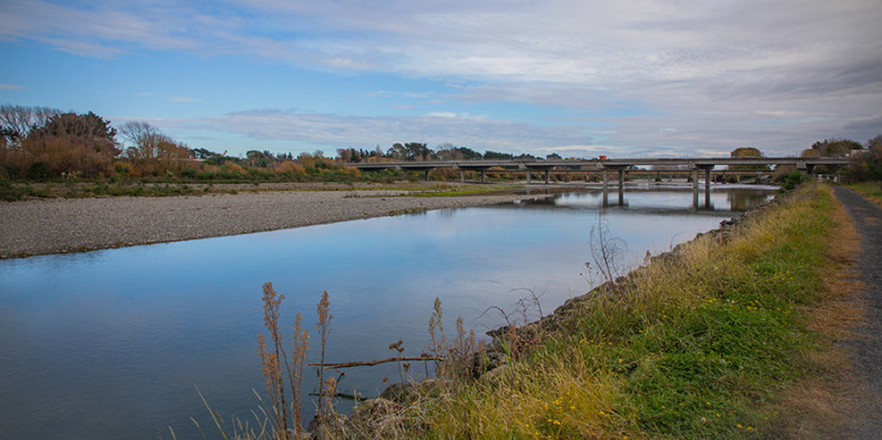kapiti coast waikanae estuary