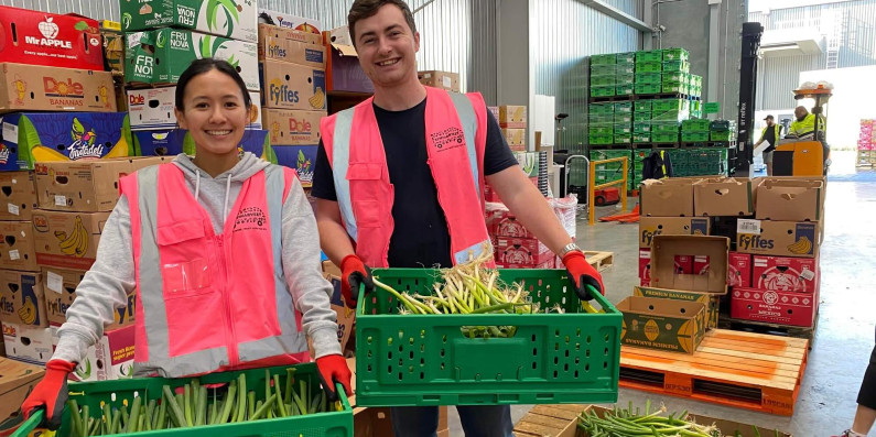 kiwi harvest pic