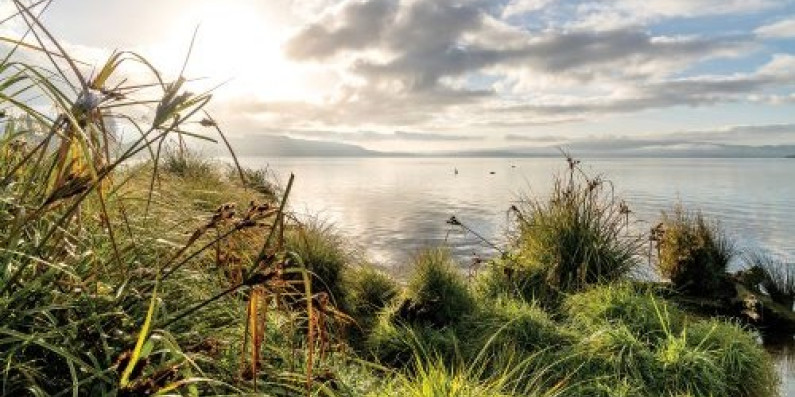 Lake Rotorua landscape