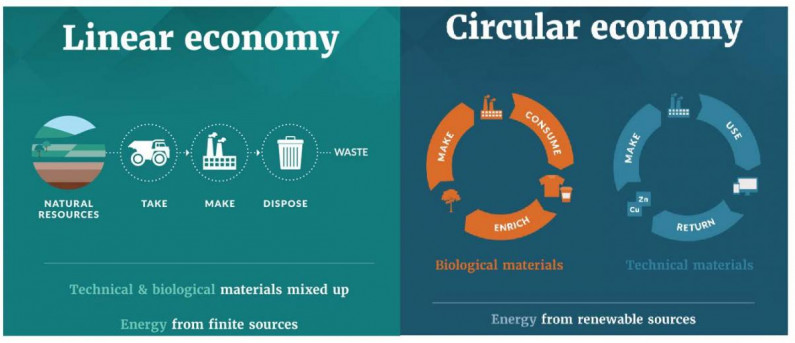 linear circular economy