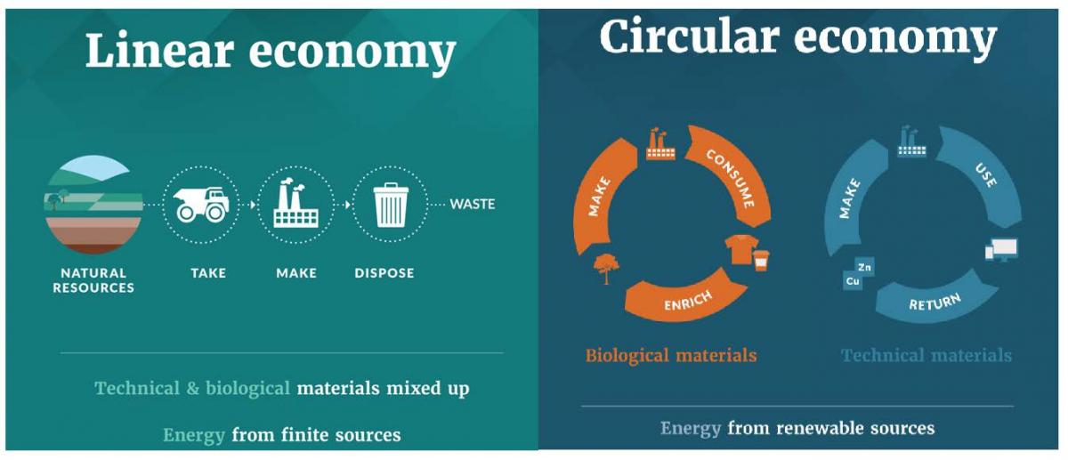 Describes the processes of the linear economy and the circular economy. Infographic.