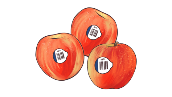 Illustration of three apples that each have a plastic produce label on them.