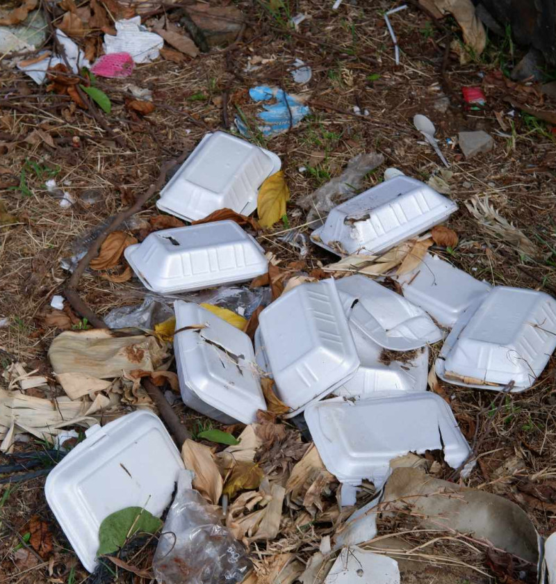 A pile of rubbish on the ground, including multiple polystyrene takeaway food containers. 