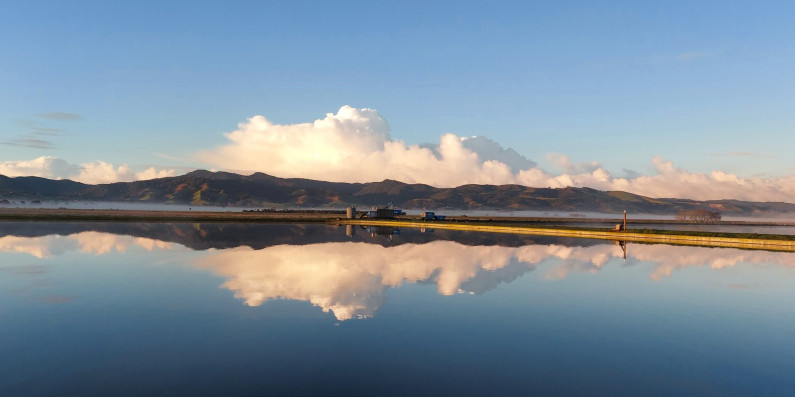 waste water landscape