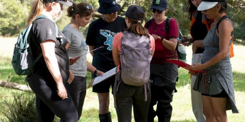 A group of people standing in nature while they plan.