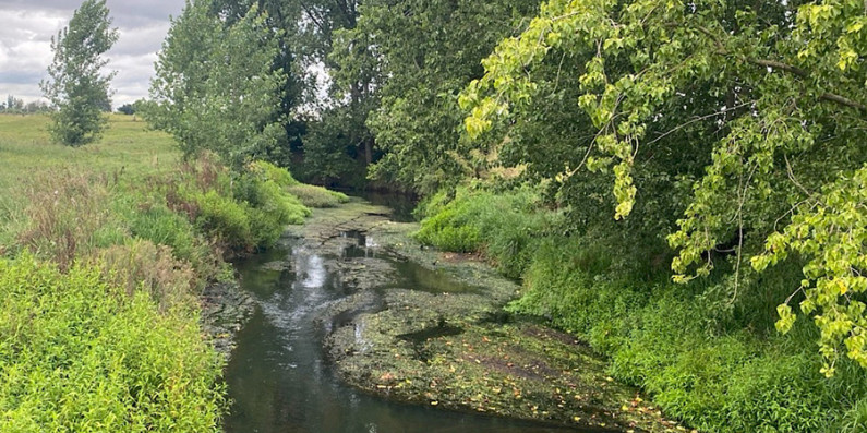 Piakoiti and Piakonui Stream.
