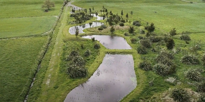 A river surrounded by green pasture and constructed wetlands.