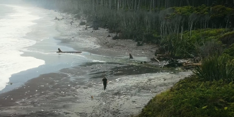 A person walking along a coastline.