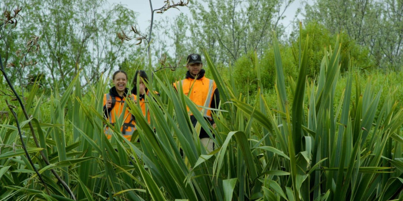 Three people within flax bushes as part of the Te Rea programme.