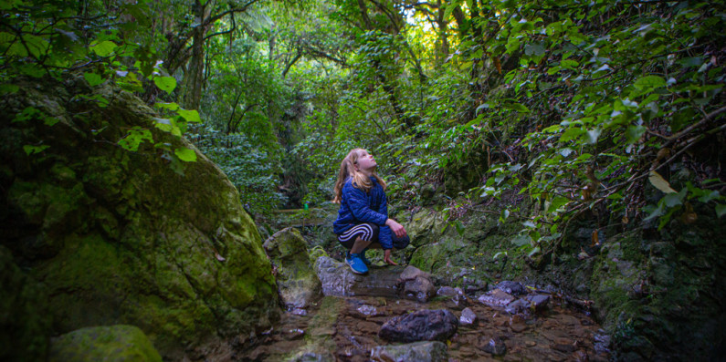 Girl in the bush perched on a rock in Percy Reserve.