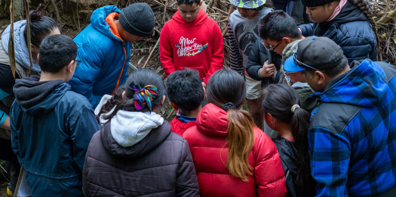 A group of children being taught about stream health.