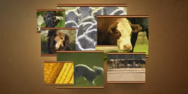Intro still of the Rural Delivery programme.