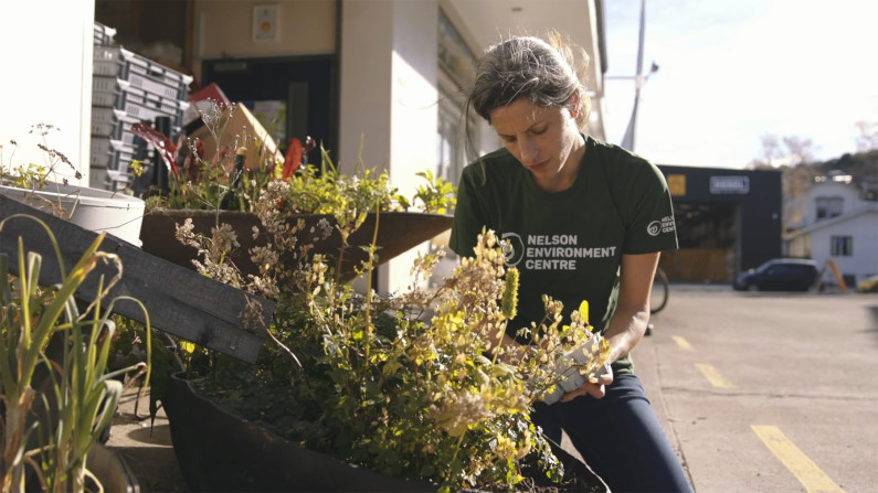 A woman in a Nelson Environment Centre t-shirt, tending to pots of plants.